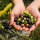 preview image11 nostri prodotti